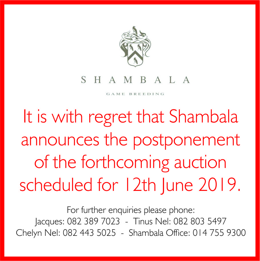 shambala postpone
